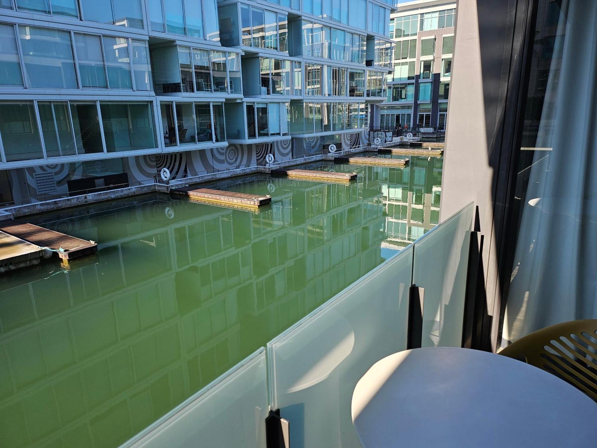 Pavilions Marina Apartment 102 - Wynyard Quarter Viaduct Harbour Auckland Exteriör bild